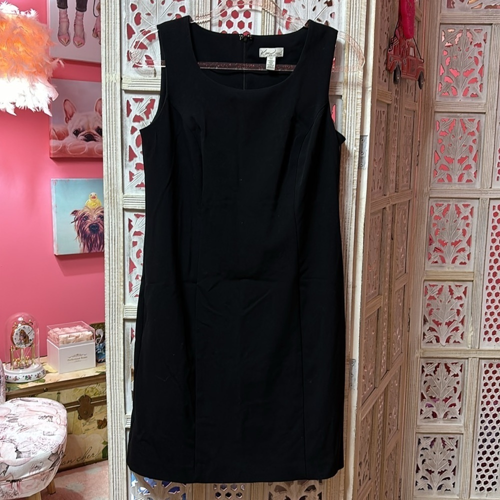Women’s Kim Roger’s Dress Size: 10P